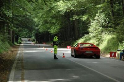 mini-1 DSC 0317 (225) JPG jpg