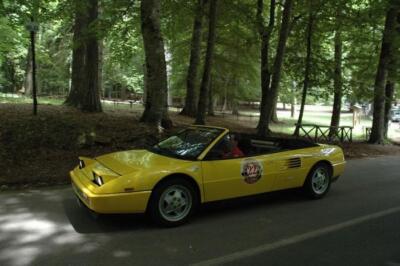 mini-1 DSC 0317 (226) JPG