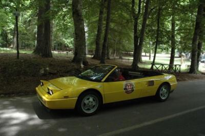 mini-1 DSC 0317 (226) JPG jpg