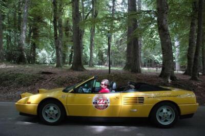 mini-1 DSC 0317 (227) JPG jpg