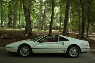 mini-1 DSC 0317 (228) JPG