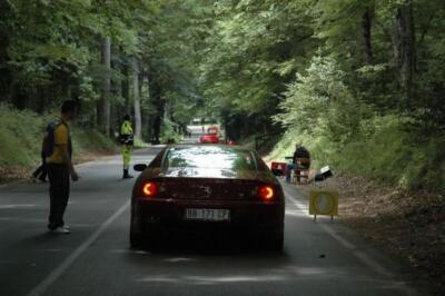 mini-1 DSC 0317 (231) JPG jpg