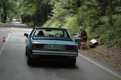 mini-1 DSC 0317 (235) JPG