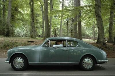 mini-1 DSC 0317 (237) JPG