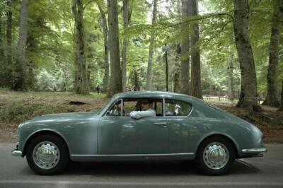 mini-1 DSC 0317 (237) JPG jpg