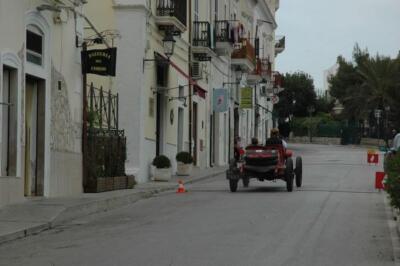 mini-1 DSC 0317 (245) JPG