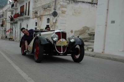 mini-1 DSC 0317 (247) JPG