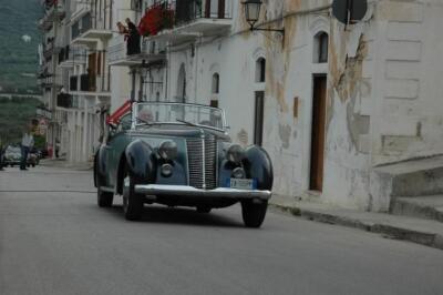 mini-1 DSC 0317 (249) JPG