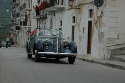 mini-1 DSC 0317 (249) JPG jpg