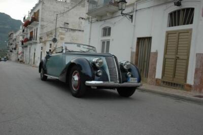 mini-1 DSC 0317 (251) JPG jpg