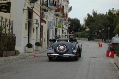 mini-1 DSC 0317 (252) JPG