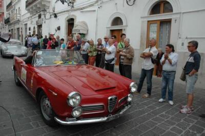 mini-1 DSC 0317 (258) JPG jpg