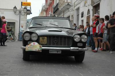 mini-1 DSC 0317 (263) JPG