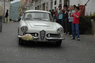 mini-1 DSC 0317 (264) JPG jpg