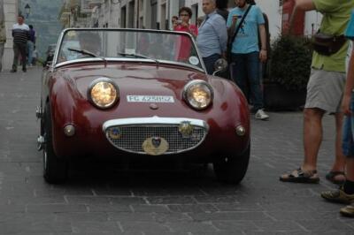 mini-1 DSC 0317 (265) JPG