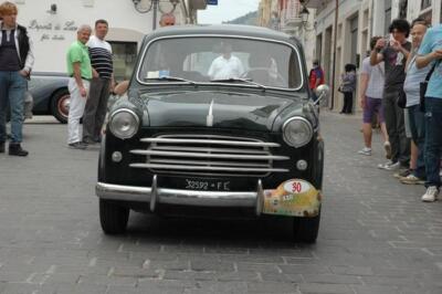 mini-1 DSC 0317 (271) JPG jpg