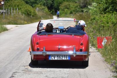 DSC 3102 - XXXV-Targa-di-Capitanata
